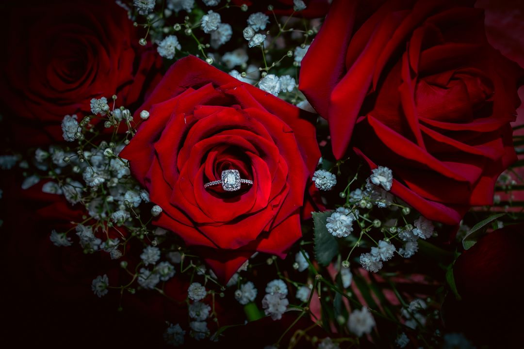 Dramatic photo of diamond engagement ring displayed on deep red roses with baby's breath accents.