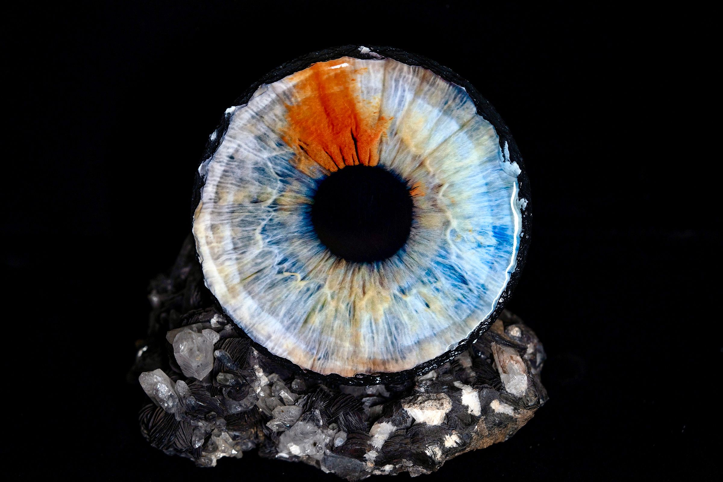 Macro art photography of a detailed blue and orange iris sculpture resting on dark crystals.