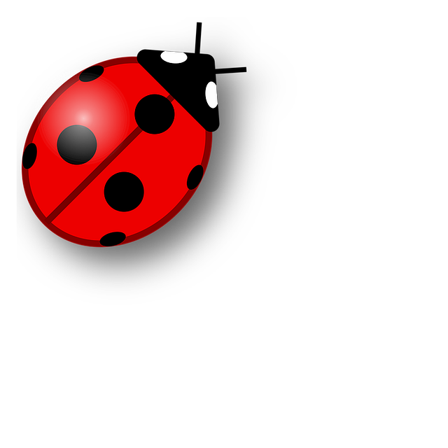 An abstract black and white circular geometric pattern against a solid black background. Ladybug, afscheidsfotografie.