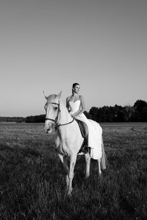 Black and white artistic photo of a bride in white dress with white horses in a serene meadow.