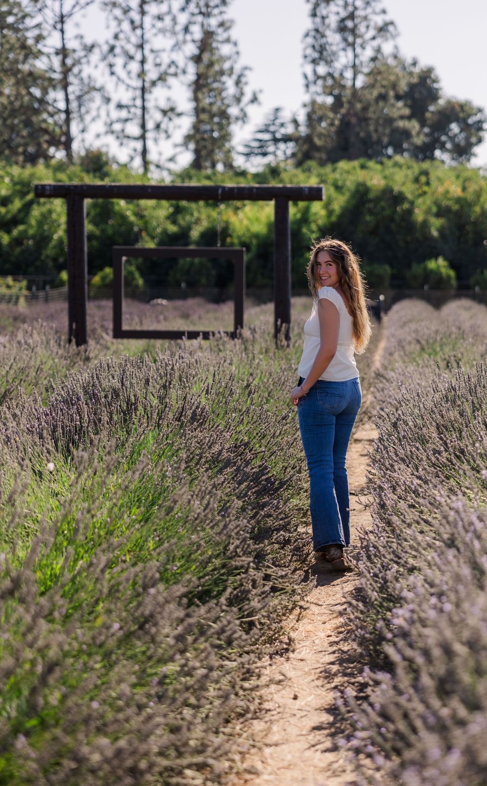 Person standing in a lavender field near a wooden frame structure on a sunny day.