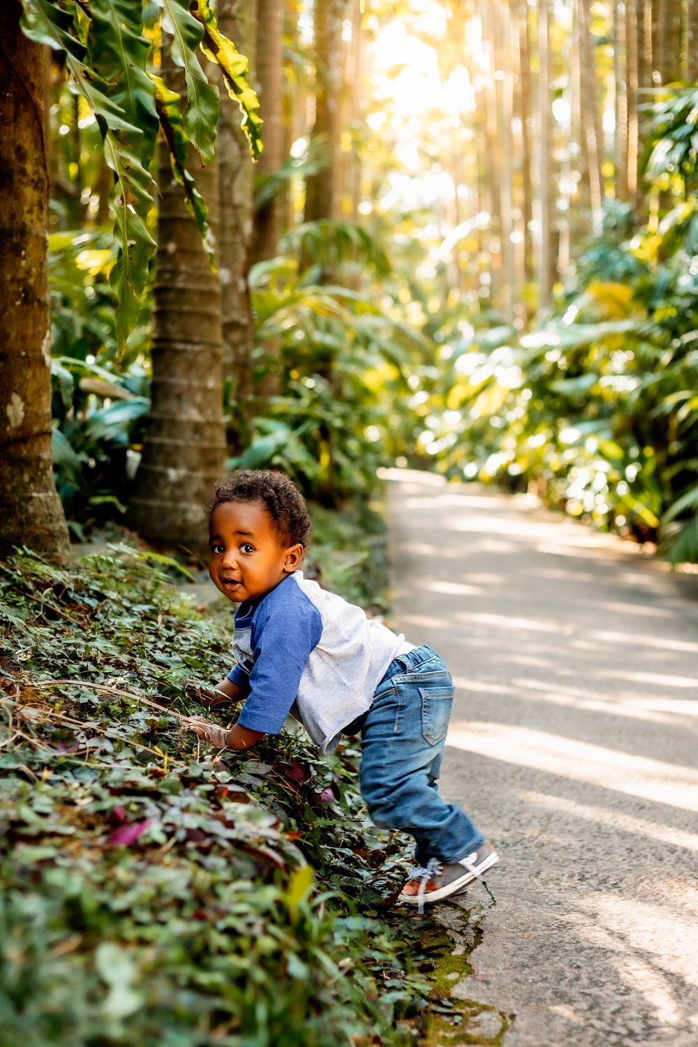 Young child exploring a sunlit forest path lined with lush tropical plants and trees.