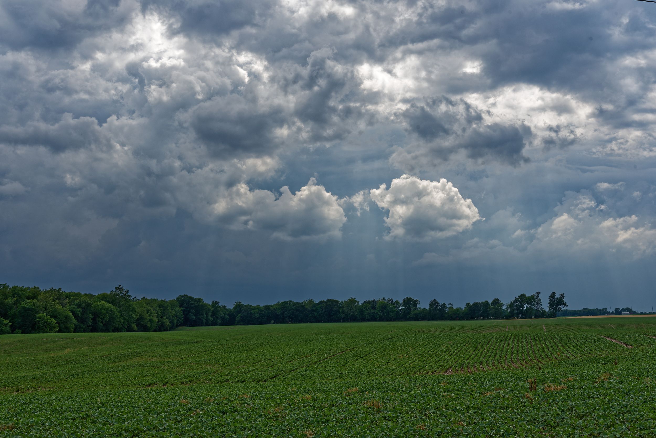 Dramatic panoramic view of dark storm clouds rolling over green agricultural fields on a summer afternoon.