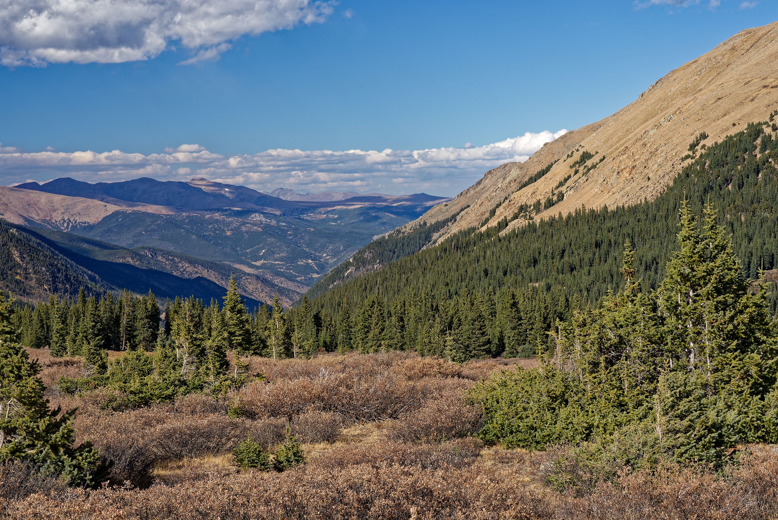 Scenic mountain vista with evergreen forest and valley below under partly cloudy skies.