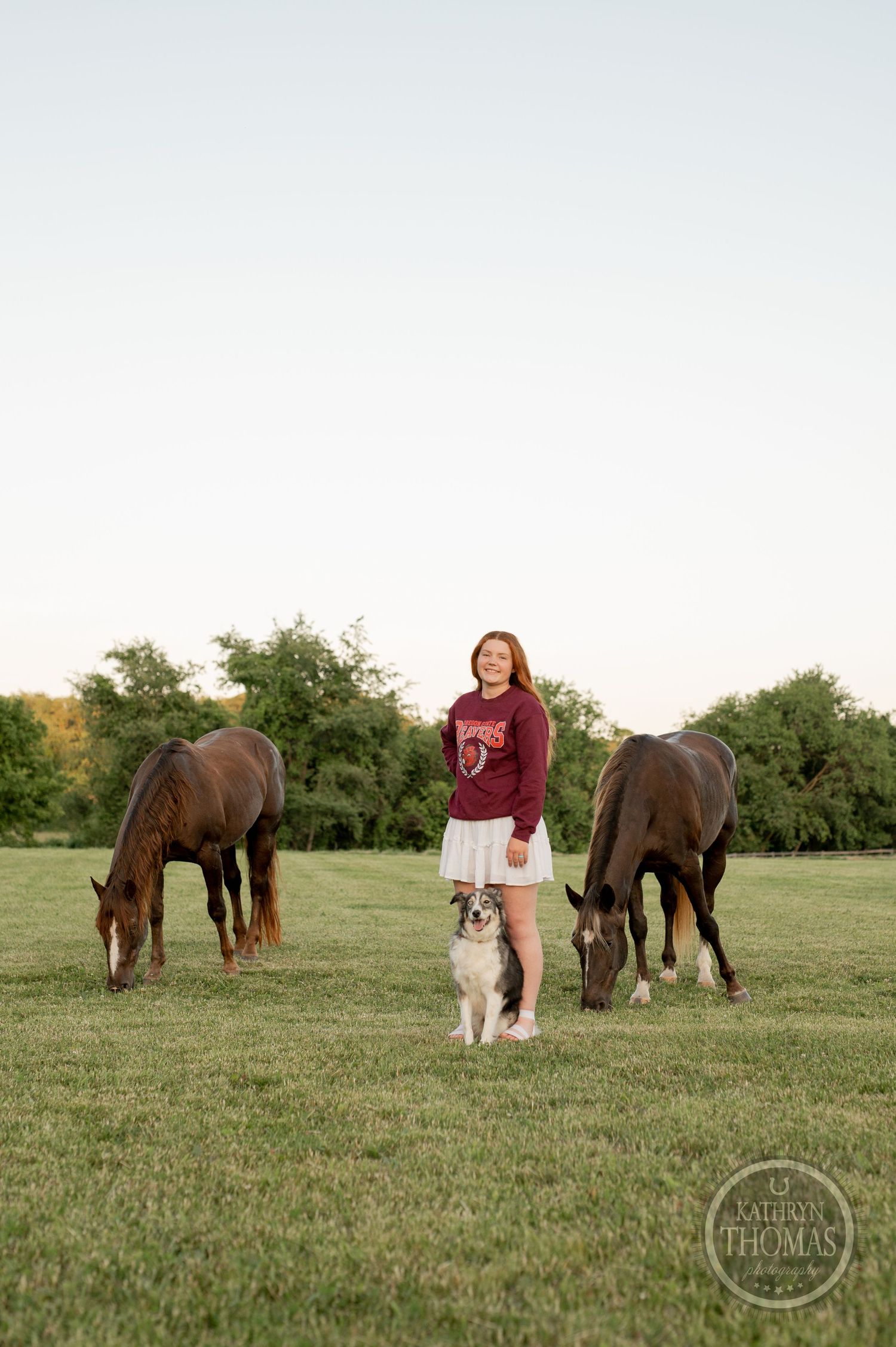 Two horses grazing in a field with person and dog standing between them at sunset.