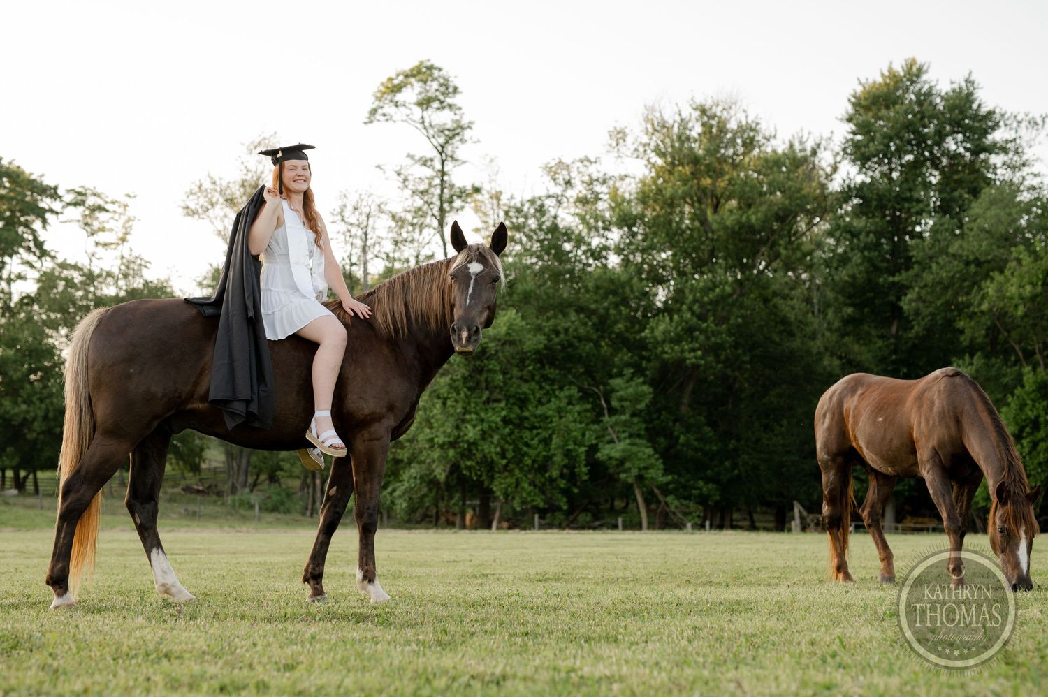 Two horses in a field at sunset with a graduate in cap and gown mounted on one.