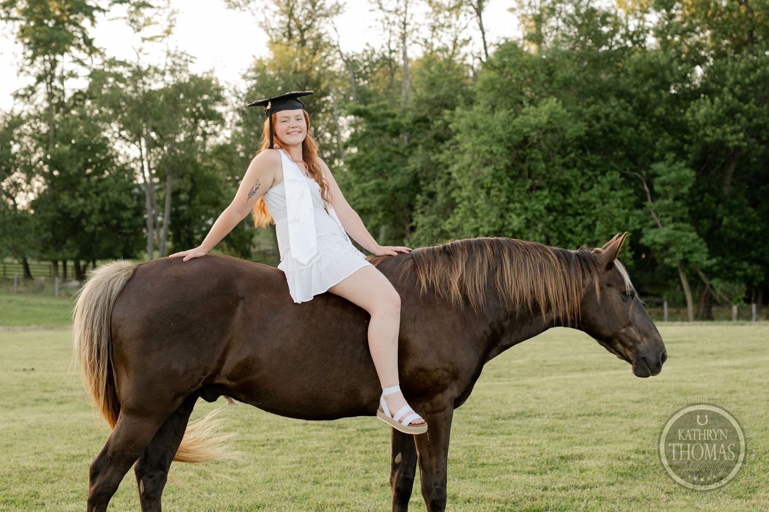 A rider in graduation attire sits astride a brown horse in a sunlit meadow.