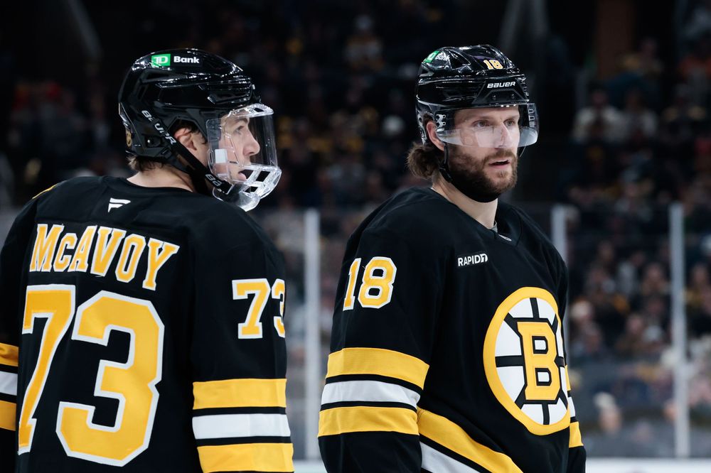 Boston Bruins players in black and gold jerseys line up on the bench during a game.