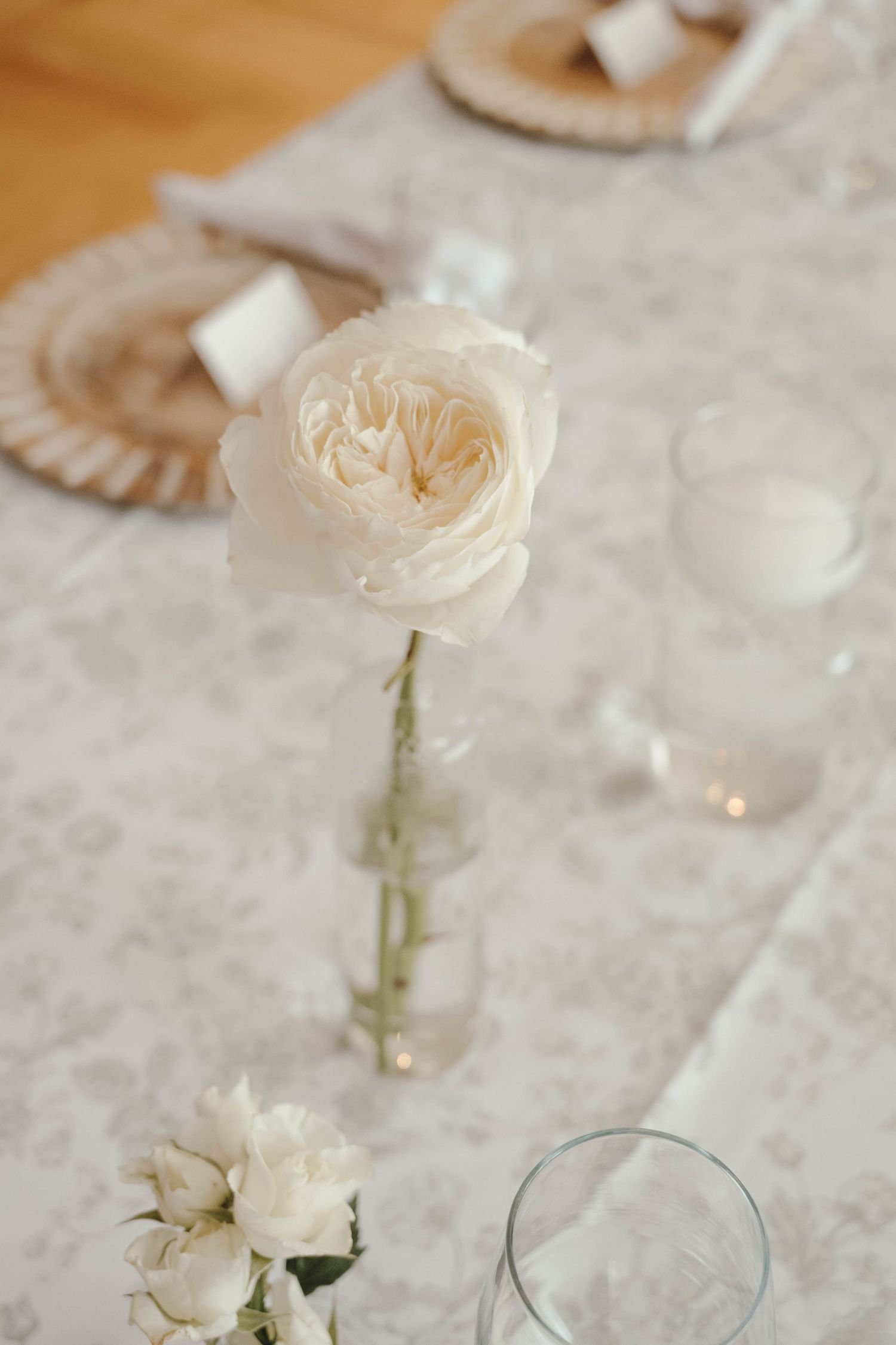 Delicate cream-colored roses arranged on a white textured surface with soft lighting and decorative elements.