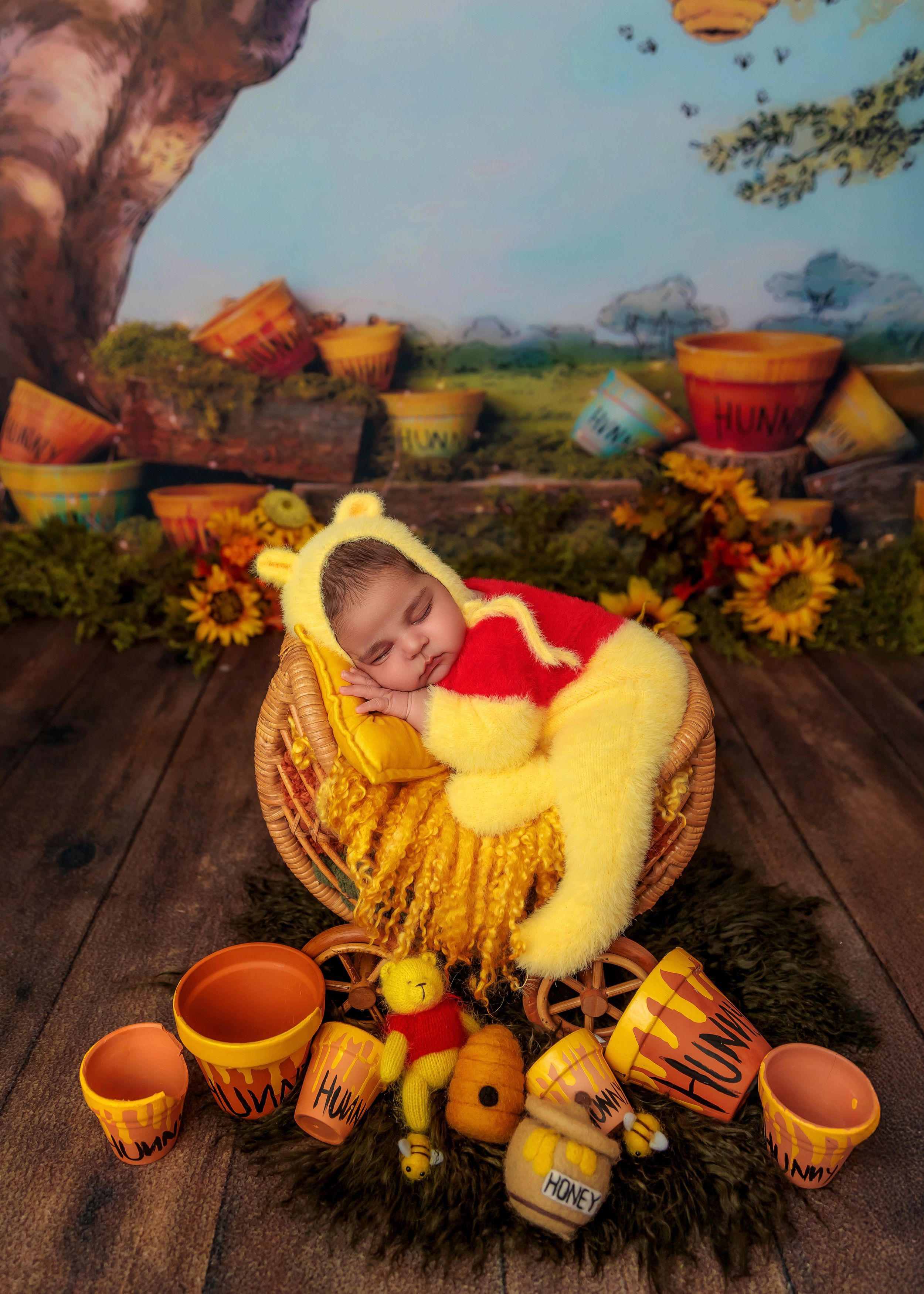 Newborn baby dressed as Winnie the Pooh sleeping in basket with honey pots.