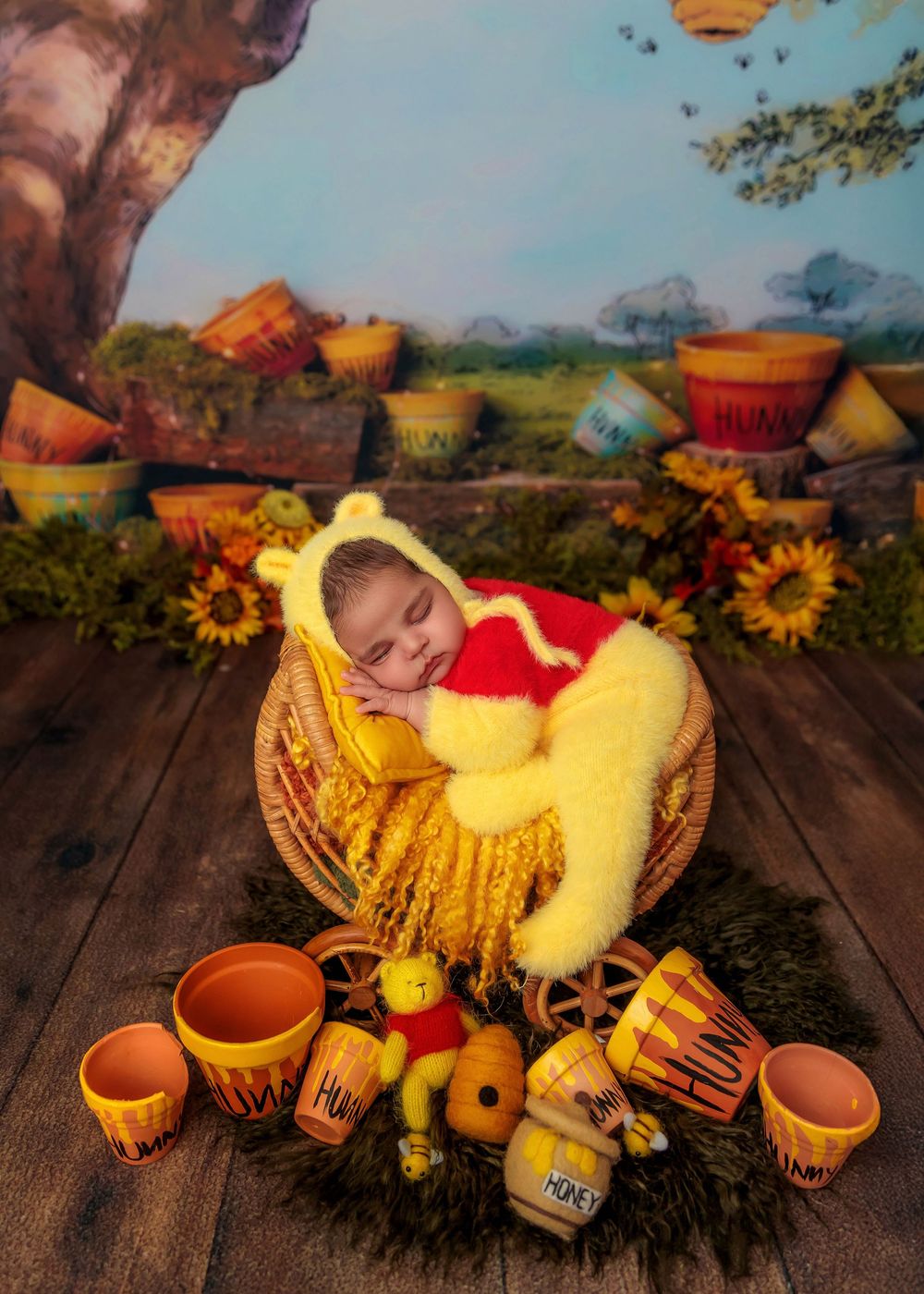 Newborn baby dressed as Winnie the Pooh sleeping in basket with honey pots.