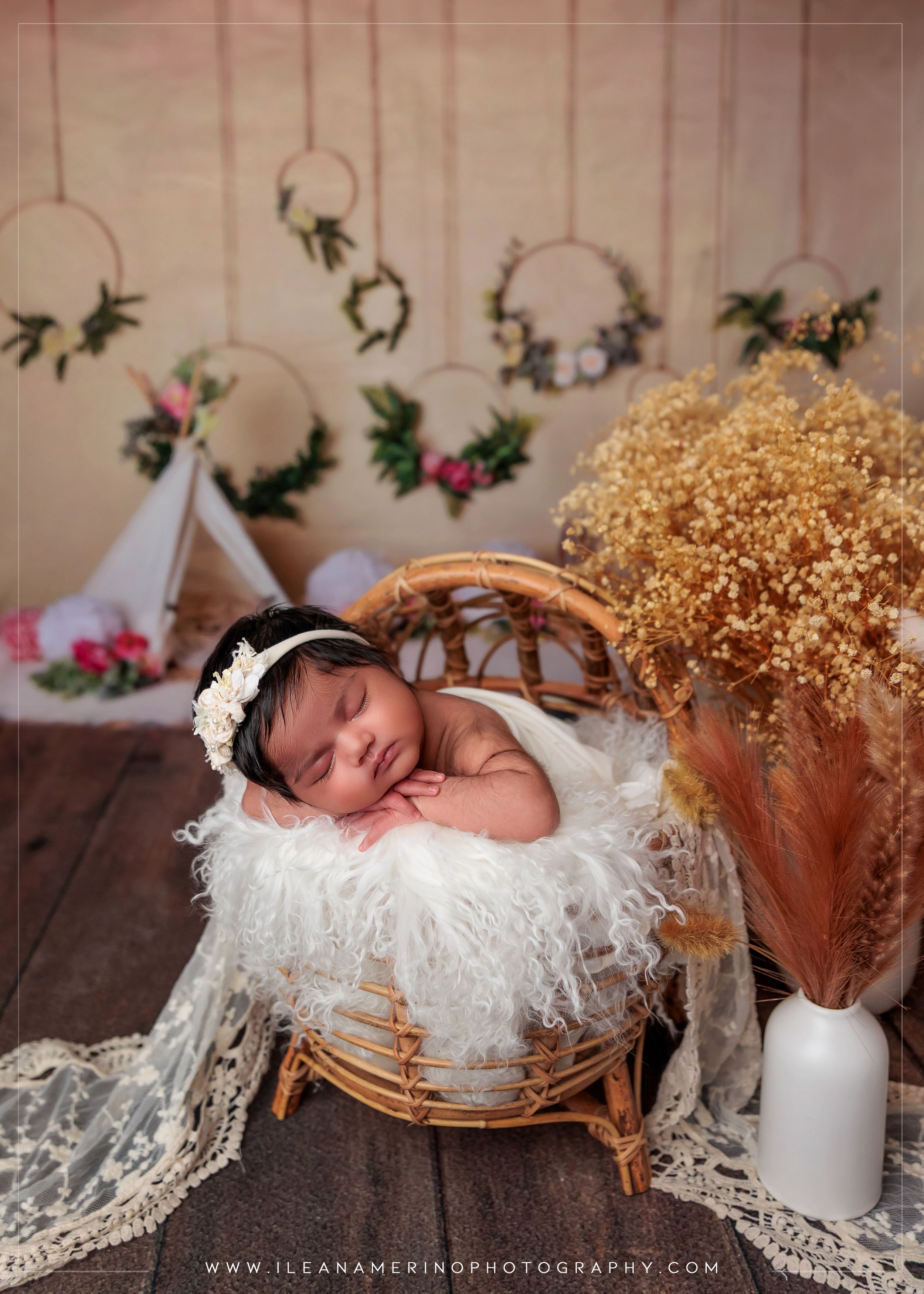 Sleeping newborn in white fluffy wicker basket with boho dreamcatcher backdrop and dried floral decor.