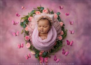 Sleeping newborn wrapped in pink in floral bowl surrounded by butterflies.