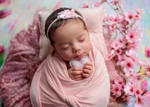 Peaceful sleeping newborn baby girl in pink wrap holding a white flower with cherry blossom backdrop.