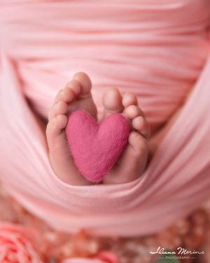 Tiny newborn baby feet holding a pink felt heart wrapped in soft pink fabric.