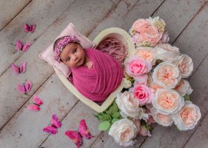 Newborn baby wrapped in pink swaddle resting in heart-shaped bowl with roses and butterflies.