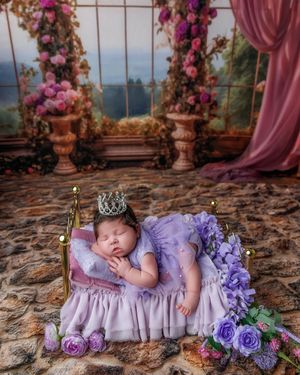 Newborn baby girl in purple princess dress with crown sleeping on gold miniature bed with floral backdrop.