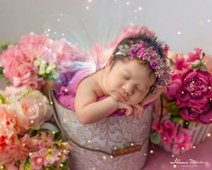 Newborn baby sleeping in a decorative bucket surrounded by colorful flowers with fairy wing headband.