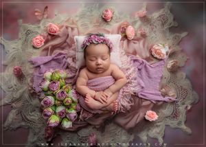 Newborn baby wrapped in purple swaddle lying on lace blanket surrounded by pink roses.