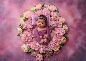Newborn baby wrapped in purple swaddle lying in a bed of pink and mauve hydrangeas and roses.