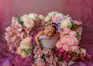 Sleeping newborn in gray knit wrap with purple headband nestled among pink and white roses.