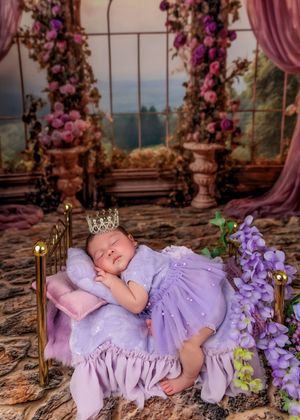 Newborn baby in lavender dress with crown sleeping on tiny gold bed with floral backdrop.