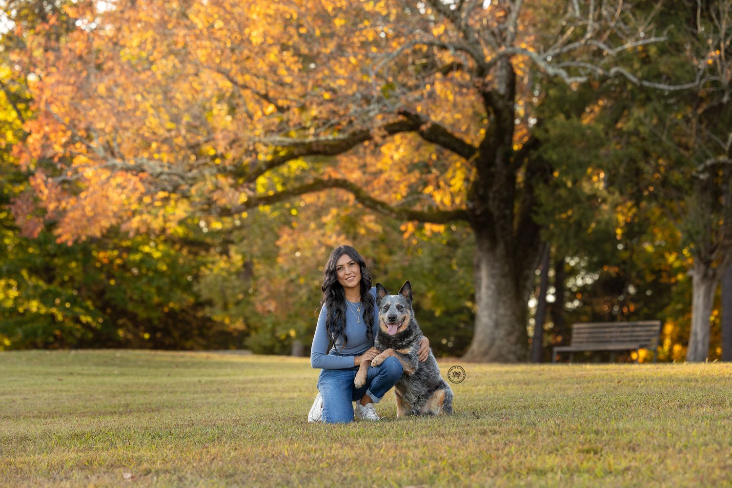 A couple and their dog pose for photos in a park surrounded by vibrant autumn foliage during a fall engagement session.