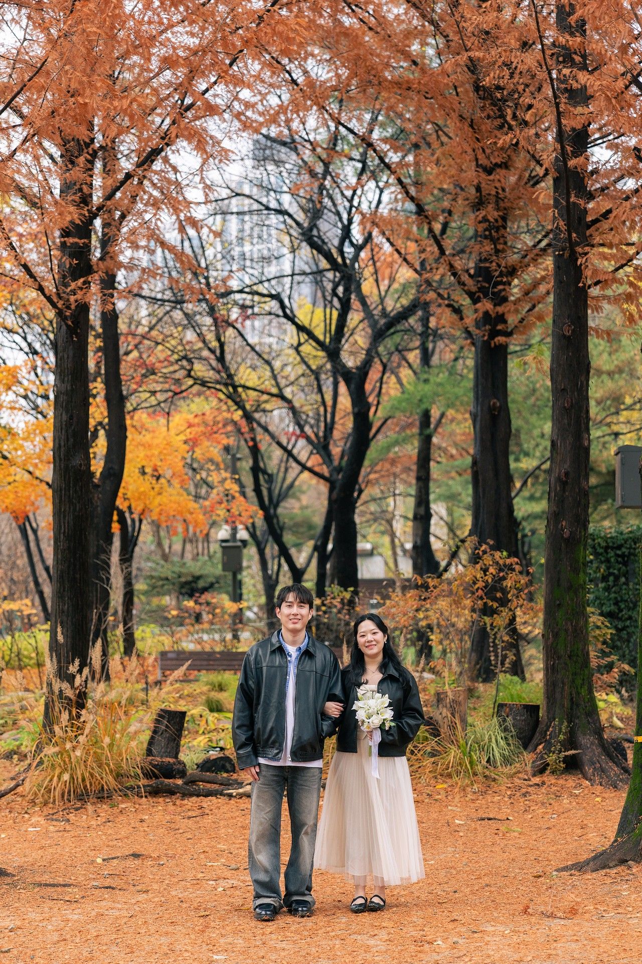 Autumn forest scene with orange maple leaves covering the ground beneath tall trees in a park setting.