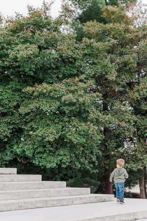 Scenic outdoor location with stone steps and lush green trees in the background.