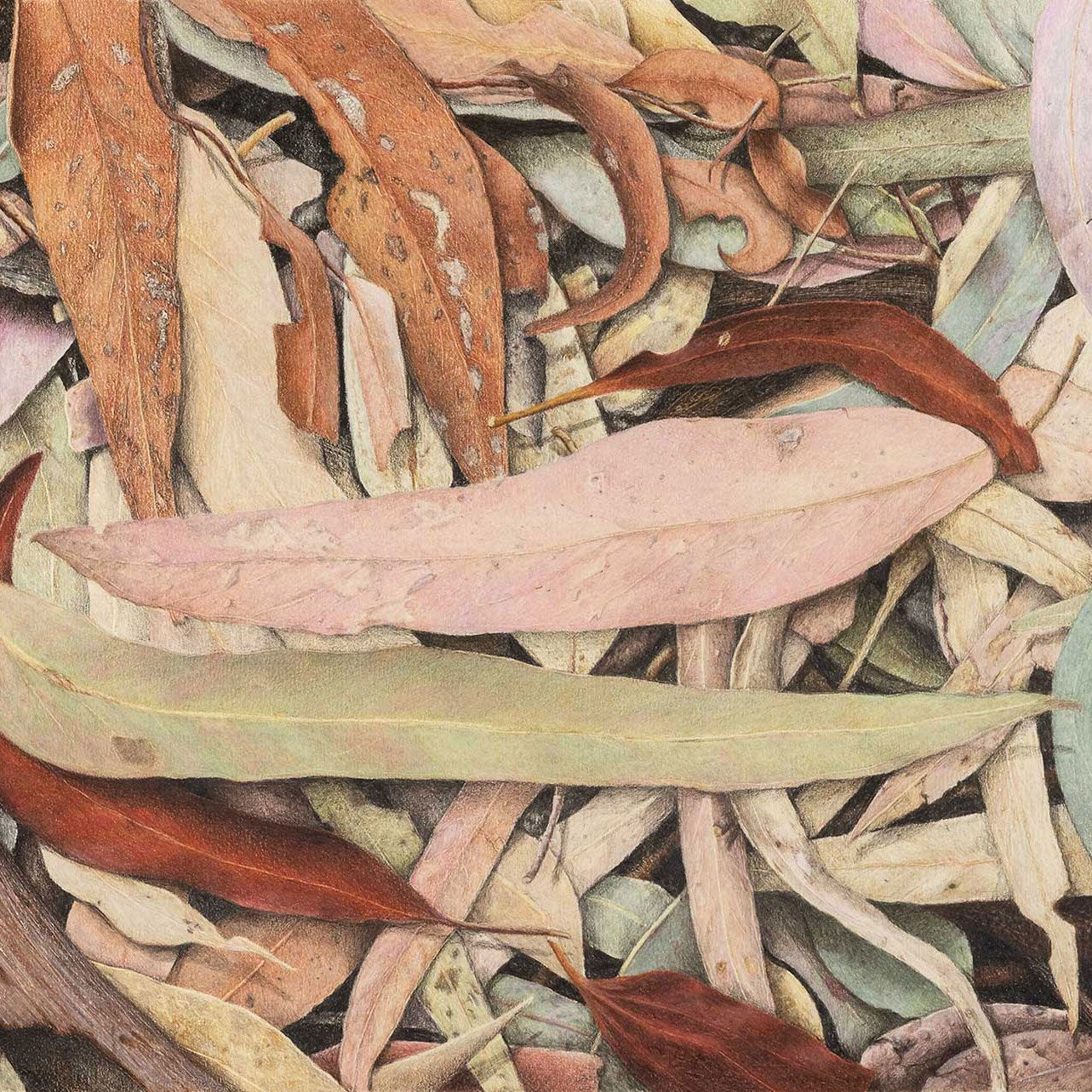 Pencil Artwork by Artist Karen Brown digitised at JRP Studio Fine Art Printing Albury Wodonga.