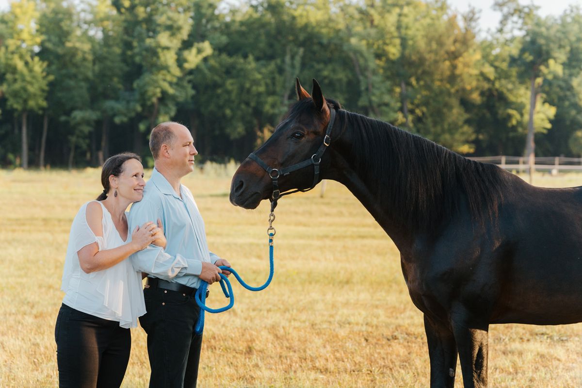 A couple interacting with a black horse in a sunny outdoor field during a photoshoot with a horse in sydney