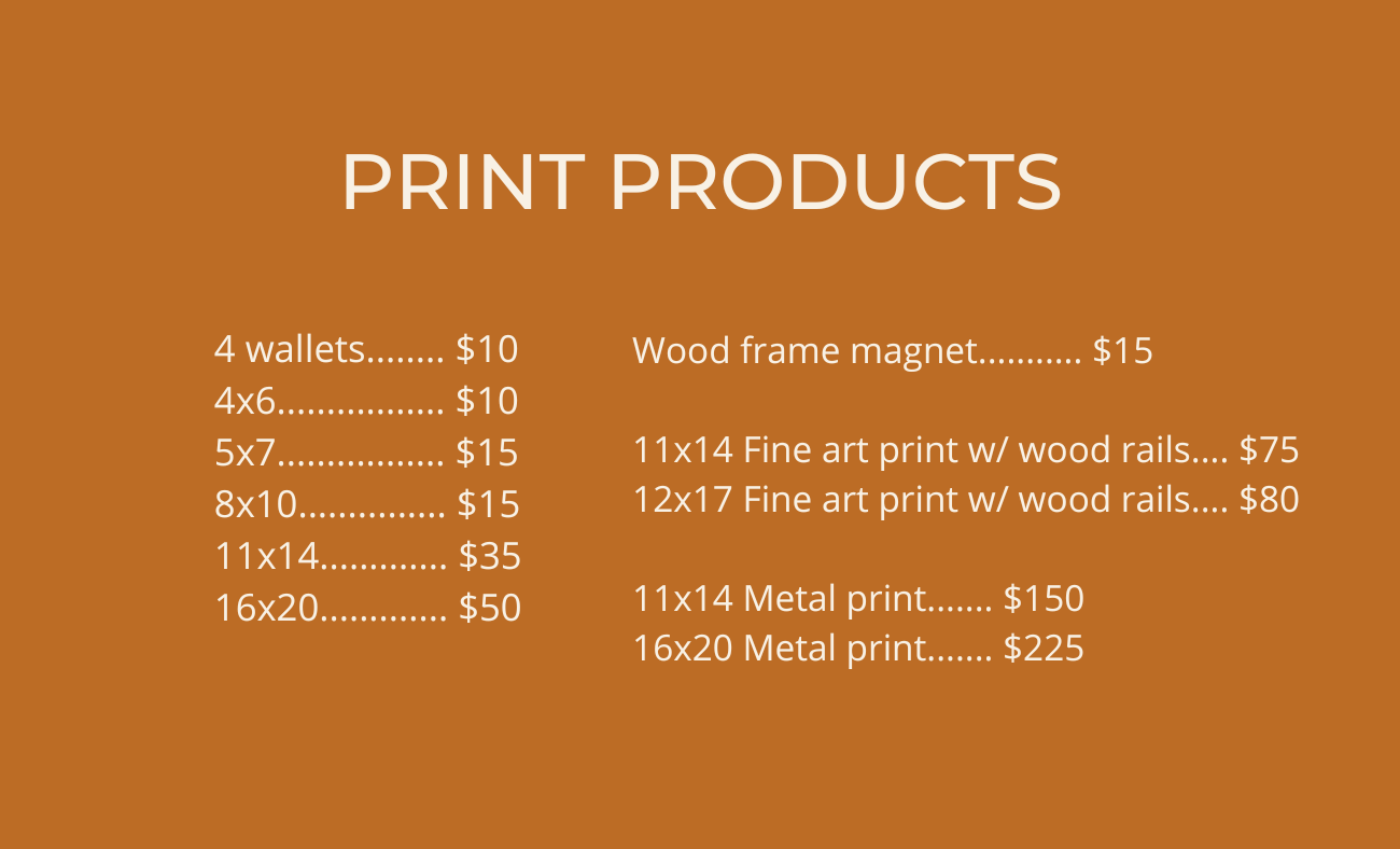 A price list for print products displayed on an orange background.