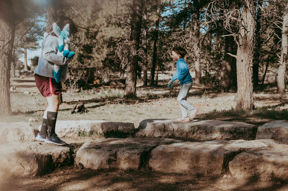Two children playing on large rocks in a sunny forest park, jumping and exploring nature outdoors.