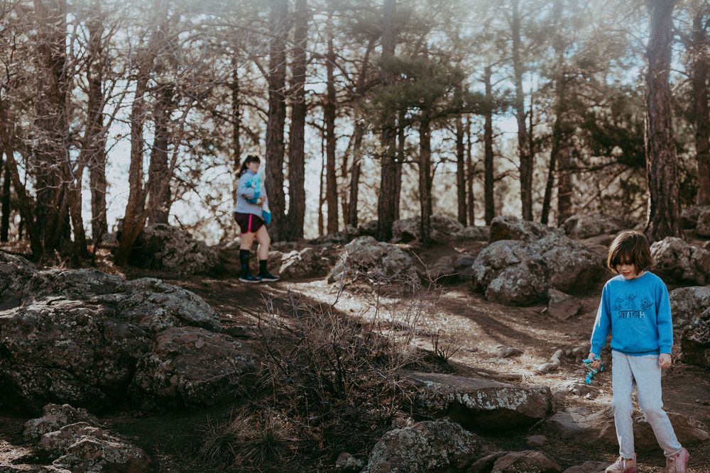 Two children exploring a rocky forest trail surrounded by tall trees in a scenic outdoor setting.