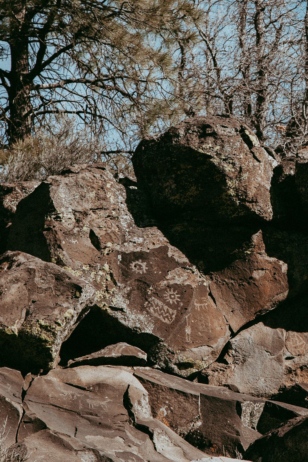 Ancient petroglyphs carved on red rocks surrounded by bare trees in a natural outdoor setting.