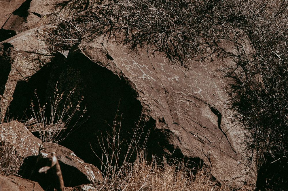 Ancient rock petroglyphs carved into weathered stone surrounded by dry desert brush and sparse vegetation.