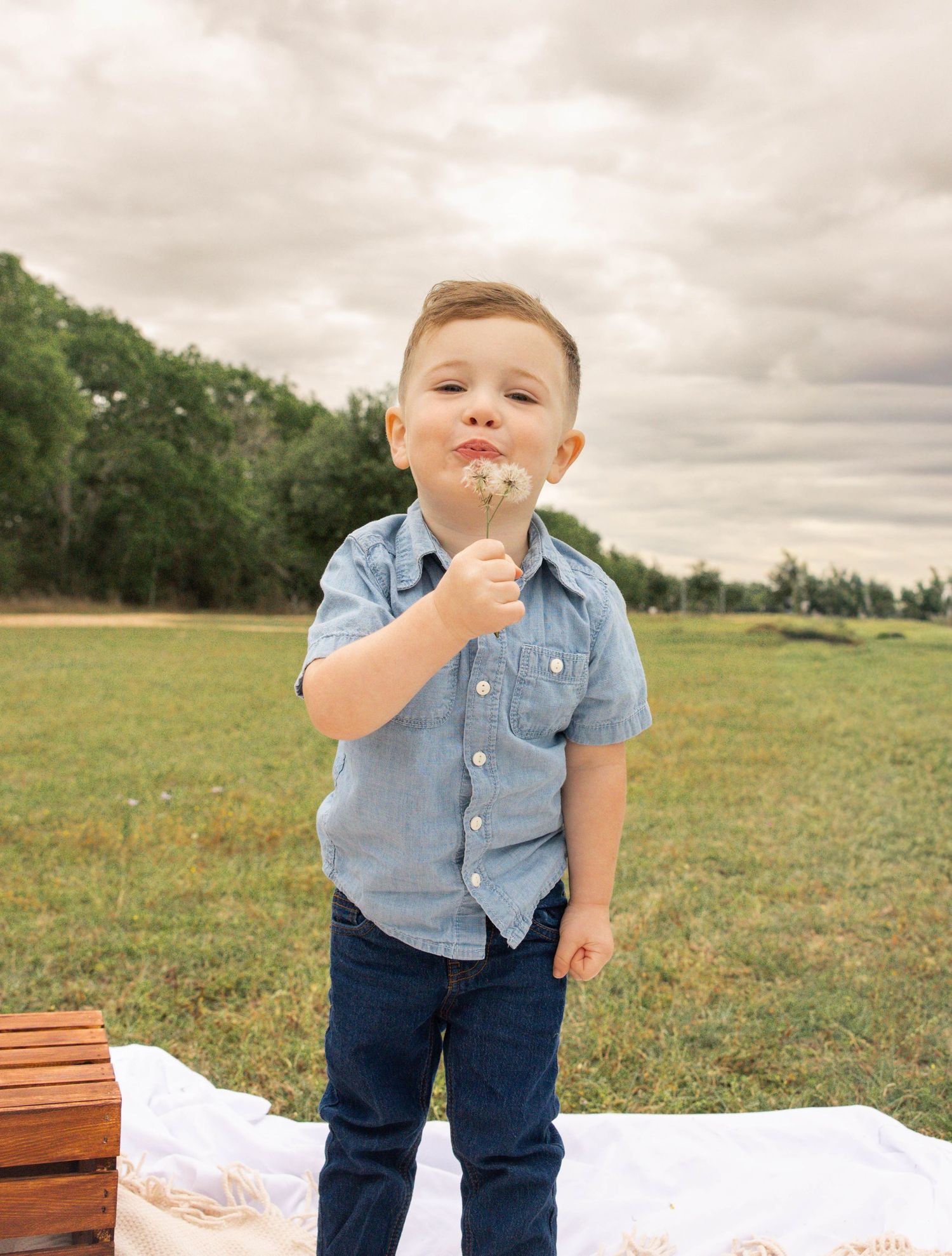 Family photography session in The Woodlands, Texas