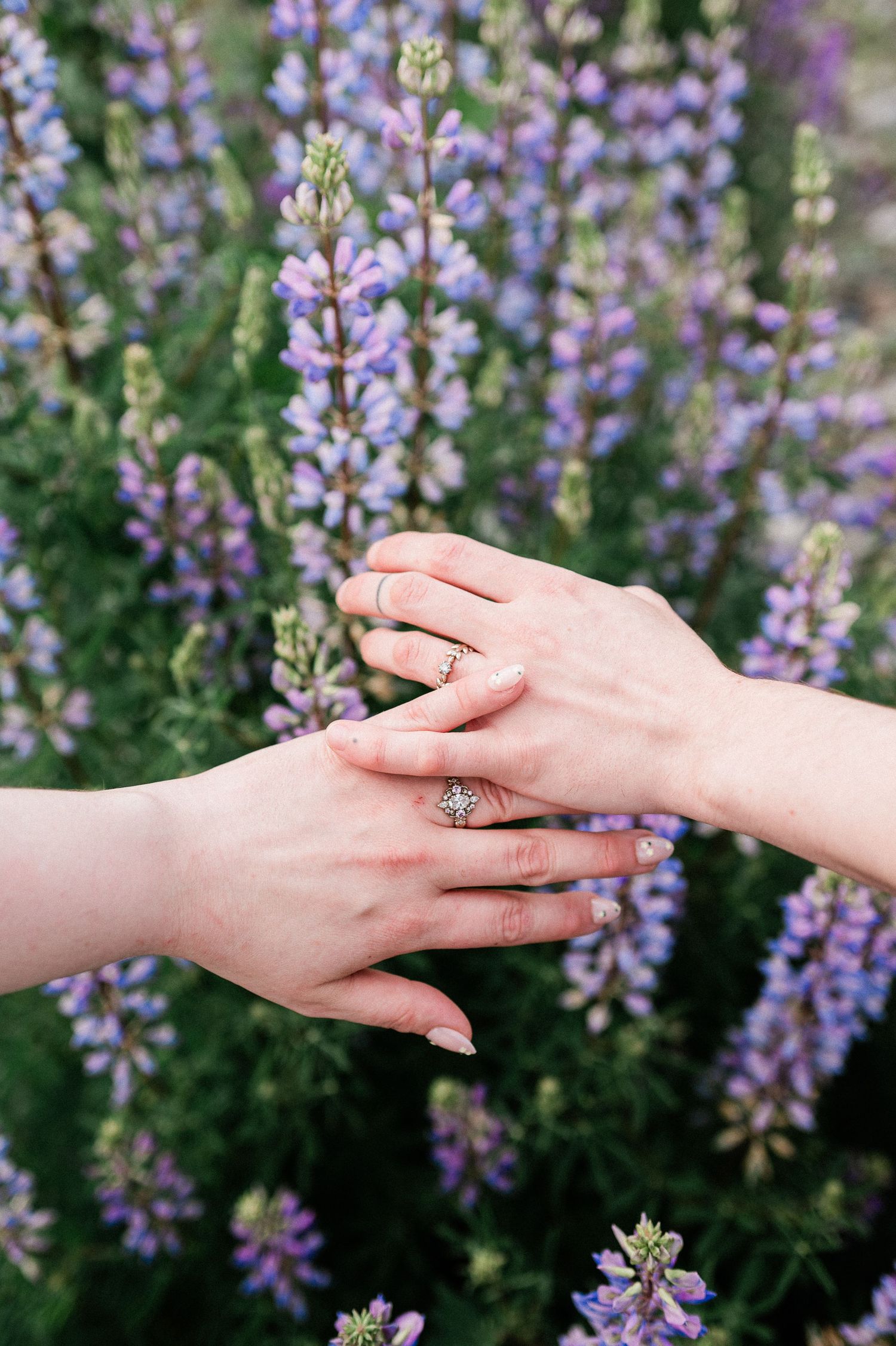 Two hands reach towards each other with a gentle touch against a backdrop of blooming purple lupine flowers.