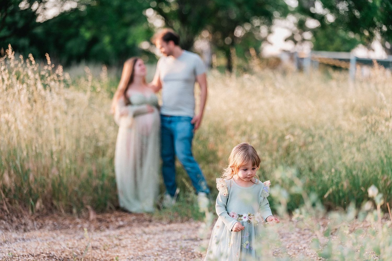 A toddler girl in a white dress walks toward the camera while her parents stand in a golden field behind her.