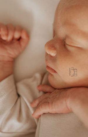 Newborn