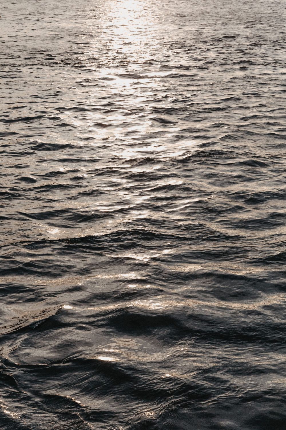 Dark ocean waves ripple across the water surface in a moody black and white seascape.