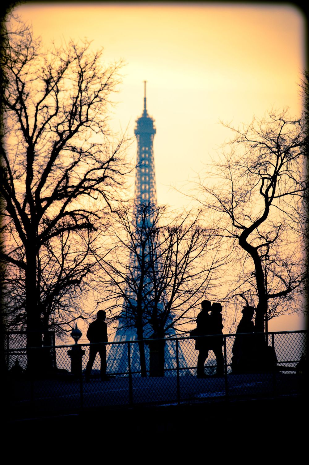 Silhouette of people kissing in Le Champ de Mars and trees with the Eiffel Tower in the distance.