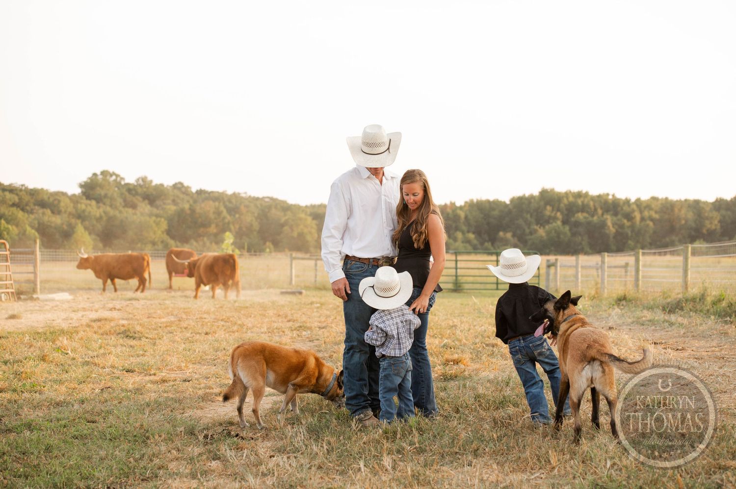 A family tends to cattle and pets on their ranch during sunset.