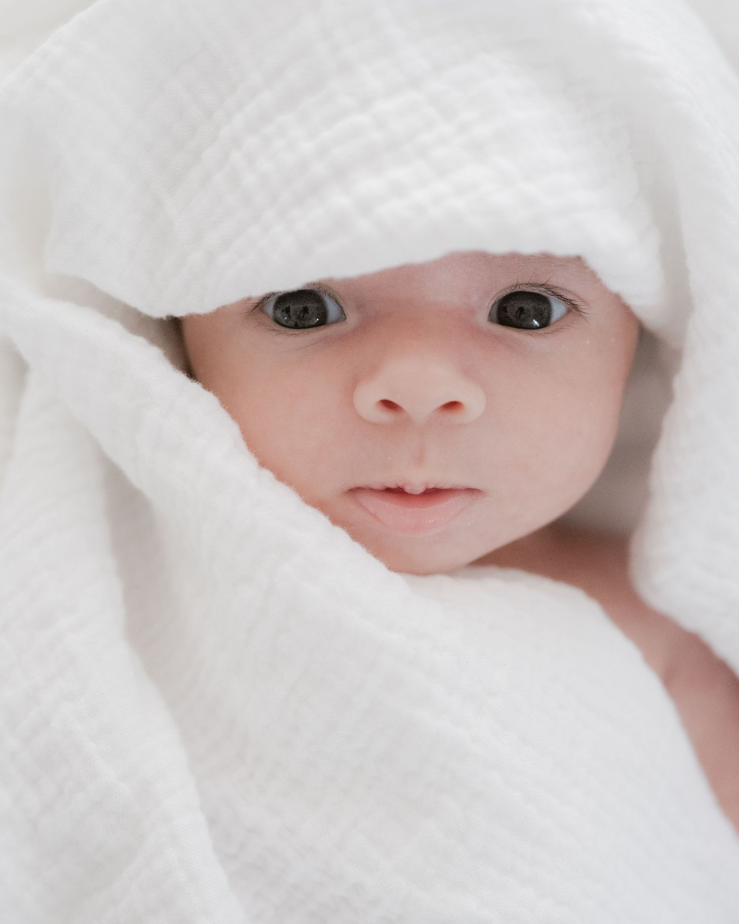 Close up of wide-eyed newborn baby wrapped in white blanket, newborn photographer West Vancouver