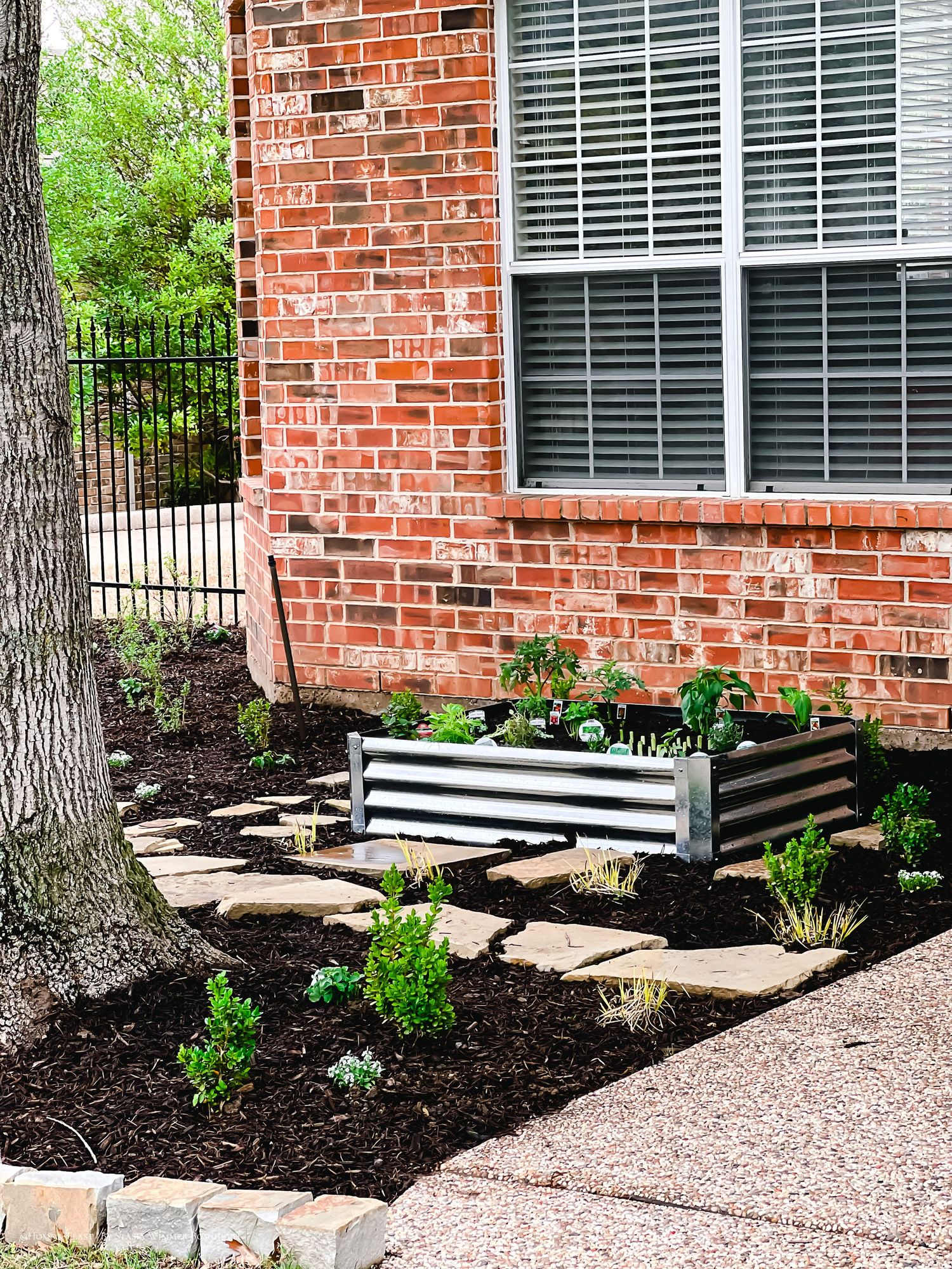 Galvanized metal raised garden bed filled with herbs and vegetables, placed against a brick wall on mulch.