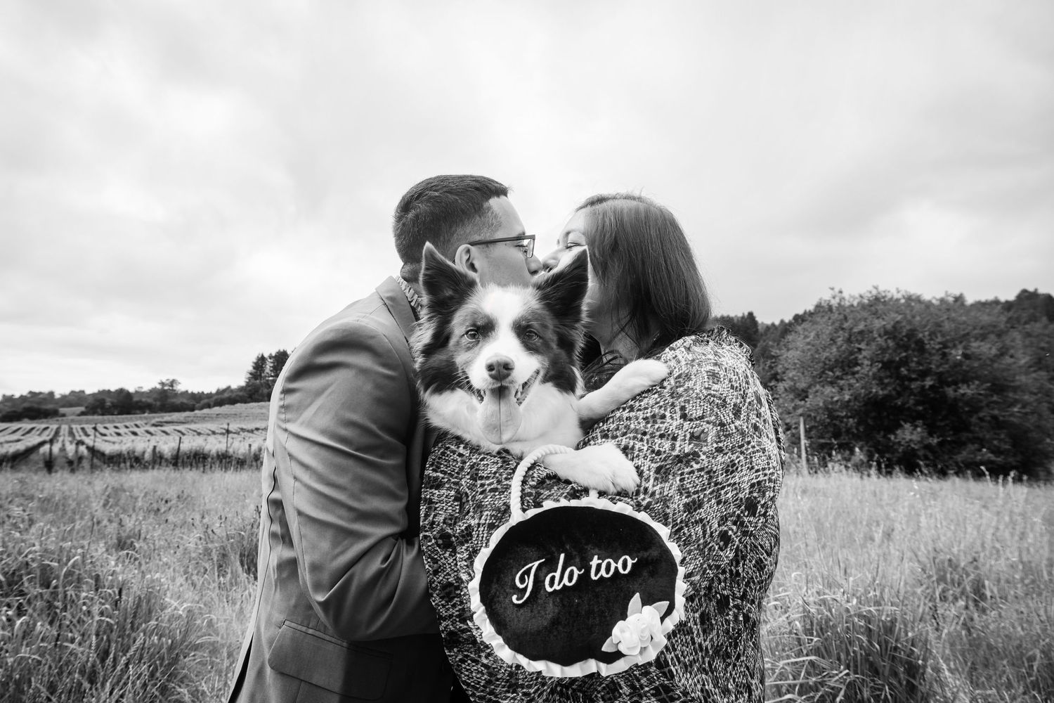 Couple kissing while holding dog with I Do Too sign in black and white engagement photo in vineyard field.