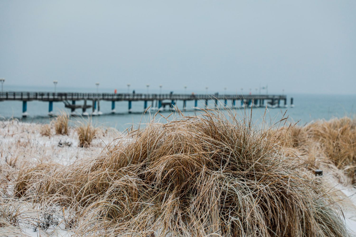 Winterliche Dünenlandschaft an der Ostsee mit Seebrücke bei Rostock