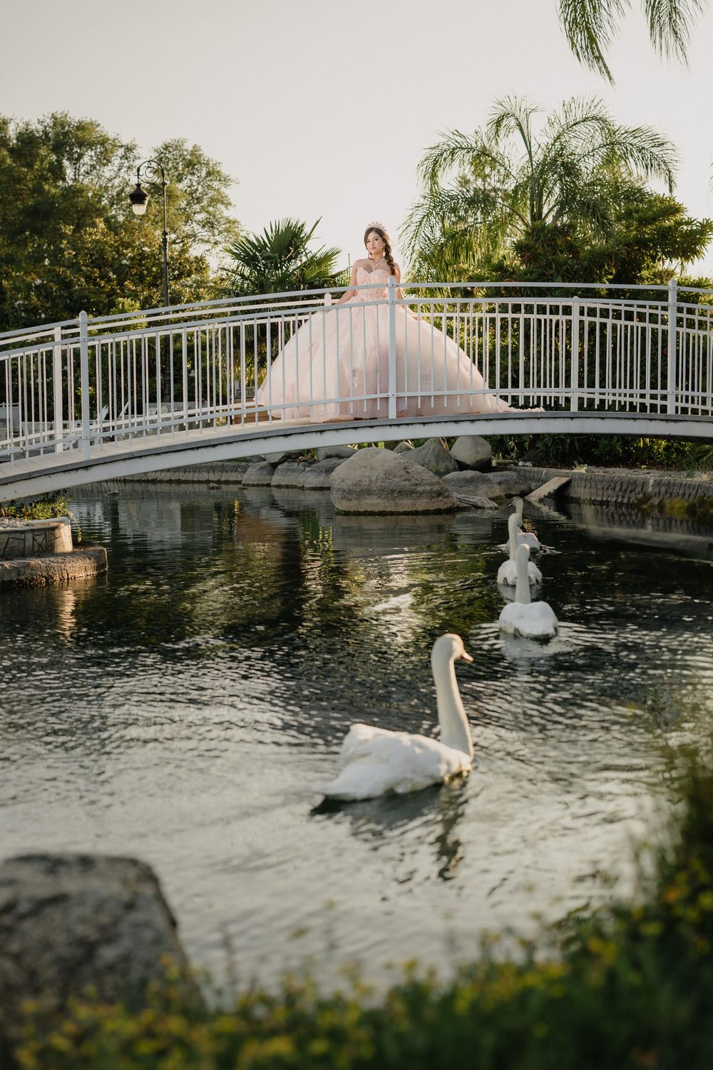 A bride in a white ball gown stands on an ornate bridge over a serene pond with swans swimming below.
