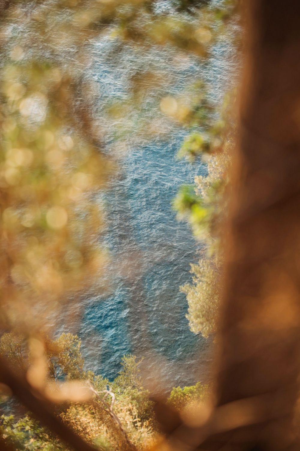Blurred bokeh view of turquoise sea water through golden autumn tree branches and foliage.