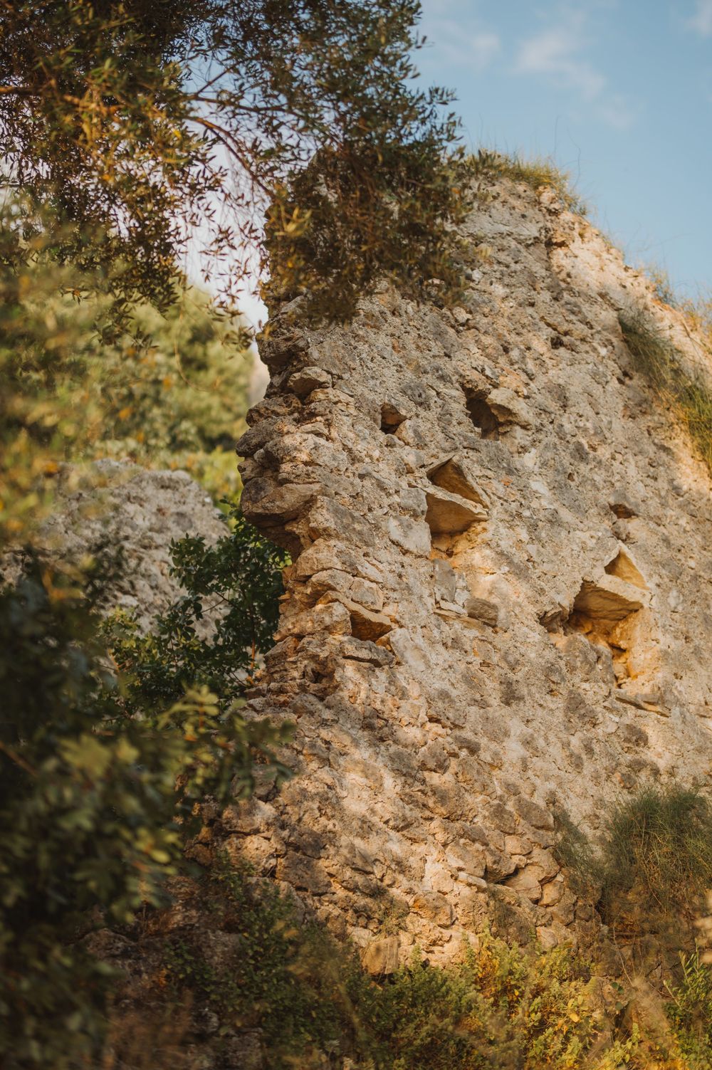 Ancient stone wall ruins with carved niches surrounded by lush green trees against a blue sky.